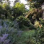 Brizzi 4* Σαν Λάτζαρο ντι Σάβενα