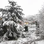 Brizzi 4* Σαν Λάτζαρο ντι Σάβενα