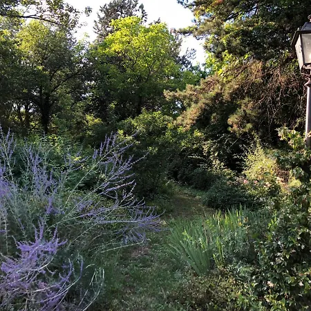 Brizzi 4* San Lazzaro di Savena