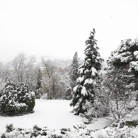 Brizzi 4* 萨韦纳河畔圣拉扎罗