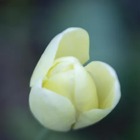 Brizzi Nocleg ze śniadaniem San Lazzaro di Savena