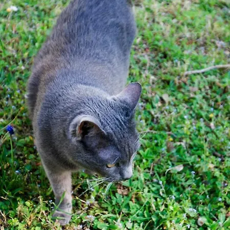 Brizzi Nocleg ze śniadaniem San Lazzaro di Savena
