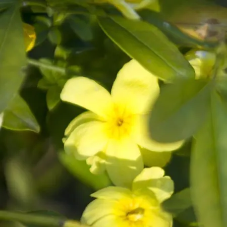 住宿加早餐酒店 Brizzi 萨韦纳河畔圣拉扎罗