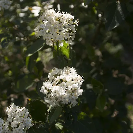 Nocleg ze śniadaniem Brizzi San Lazzaro di Savena