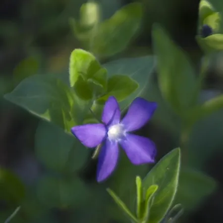Brizzi Oda ve Kahvaltı