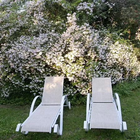 Bed & Breakfast Brizzi
