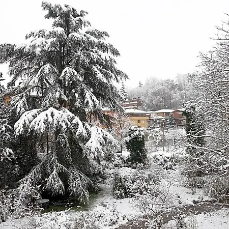 Bed & Breakfast Brizzi