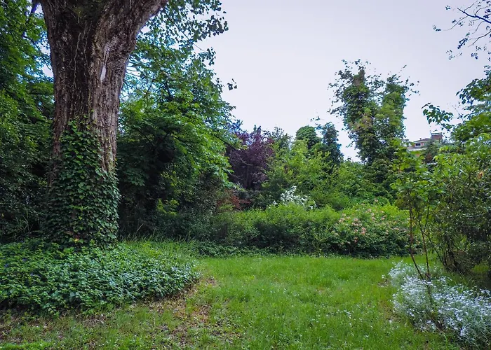 Bed & Breakfast Brizzi