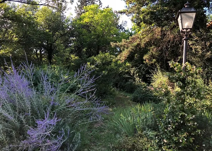 Brizzi 4* San Lazzaro di Savena