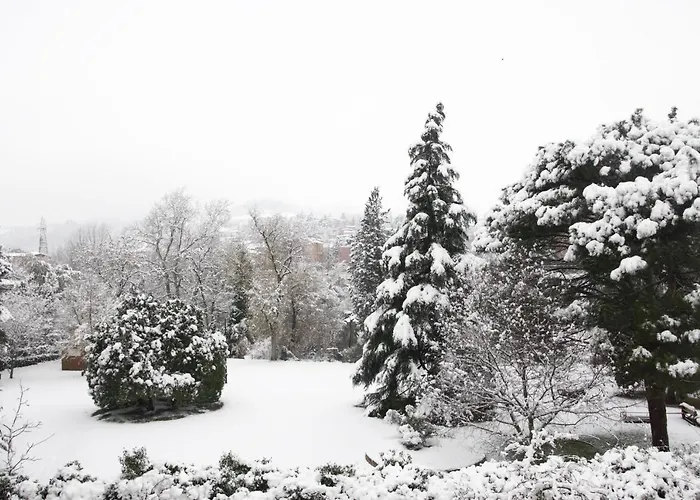 Brizzi 4* San Lazzaro di Savena