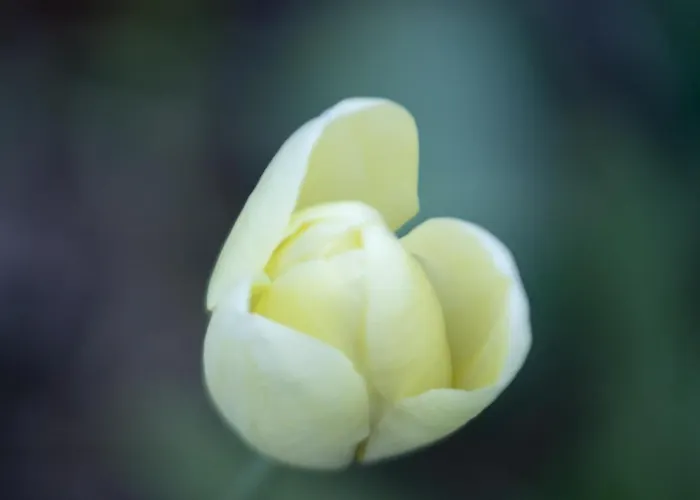 Brizzi Bed & Breakfast San Lazzaro di Savena