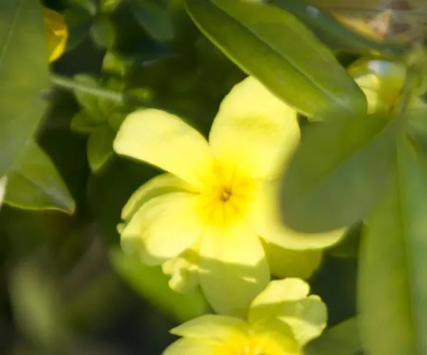 Bed and Breakfast Brizzi Σαν Λάτζαρο ντι Σάβενα