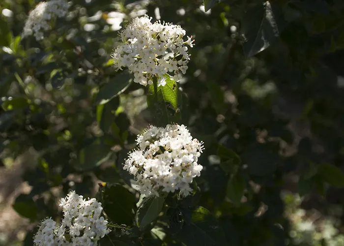 Bed & Breakfast Brizzi San Lazzaro di Savena