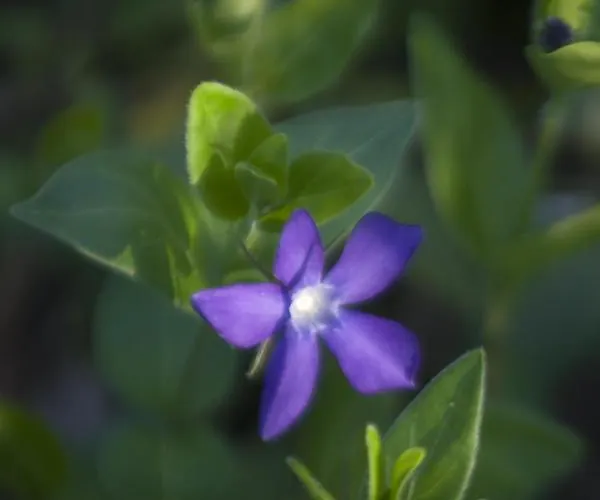 Brizzi Bed & Breakfast